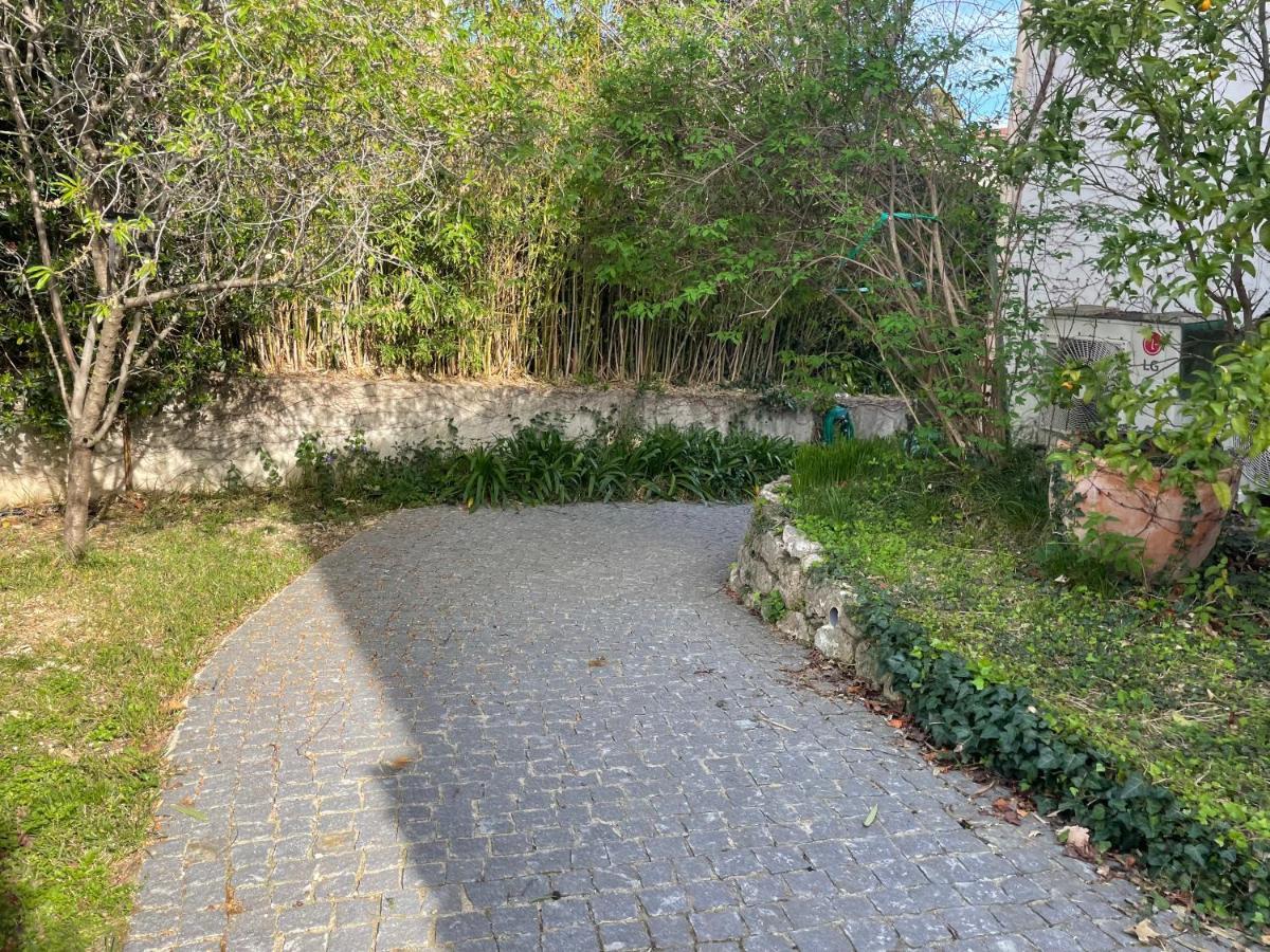 Sublime Haut De Villa Apercu Mer /Hippodrome / Cagnes-sur-Mer Zewnętrze zdjęcie